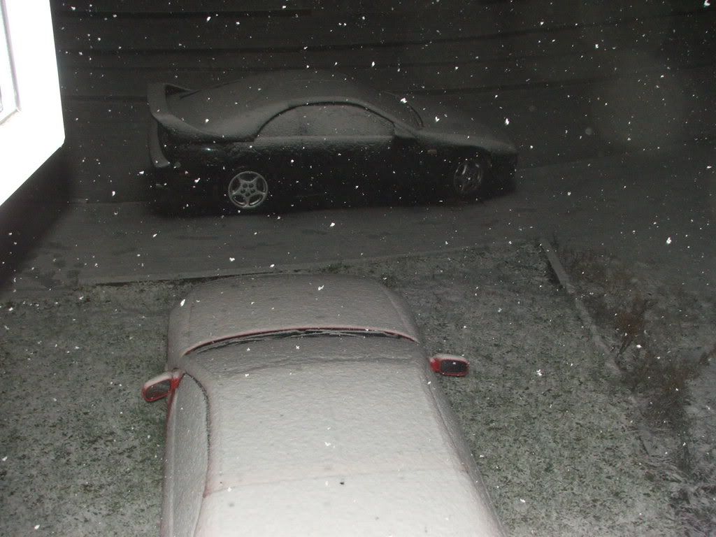 DSCF1429.jpg