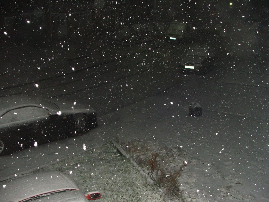 DSCF1430.jpg