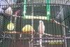 101_1684.jpg