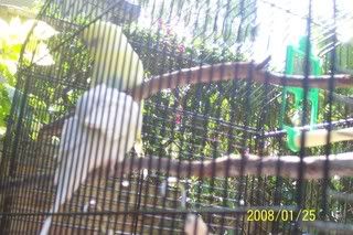 101_1687.jpg