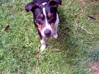 PICT0080.jpg?t=1207731102