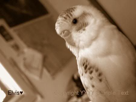 PICT0618.jpg
