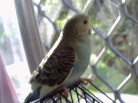 PICT0690.jpg