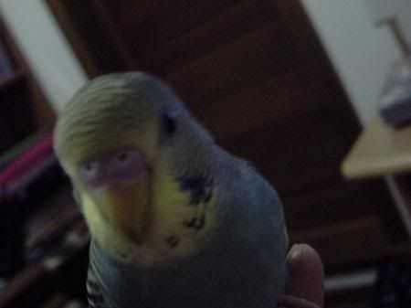 PICT0704.jpg