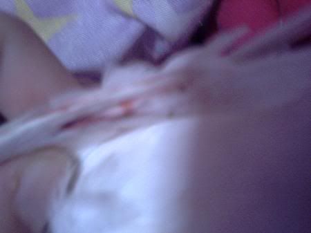 PICT0744.jpg