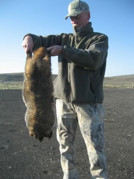 First09badger.jpg