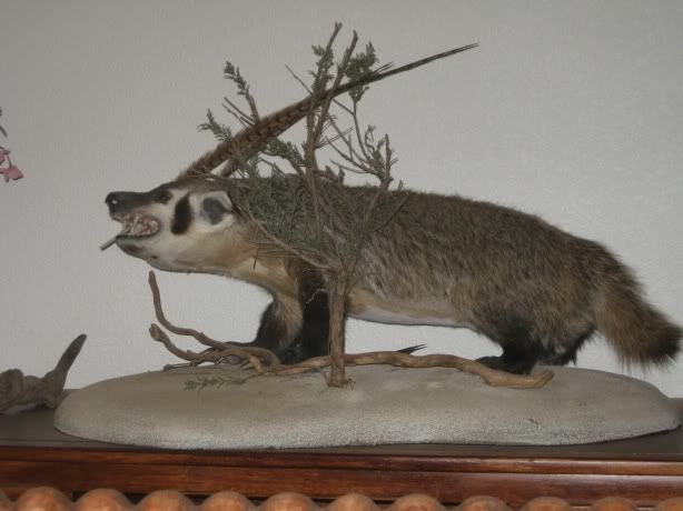 SmallBadger.jpg