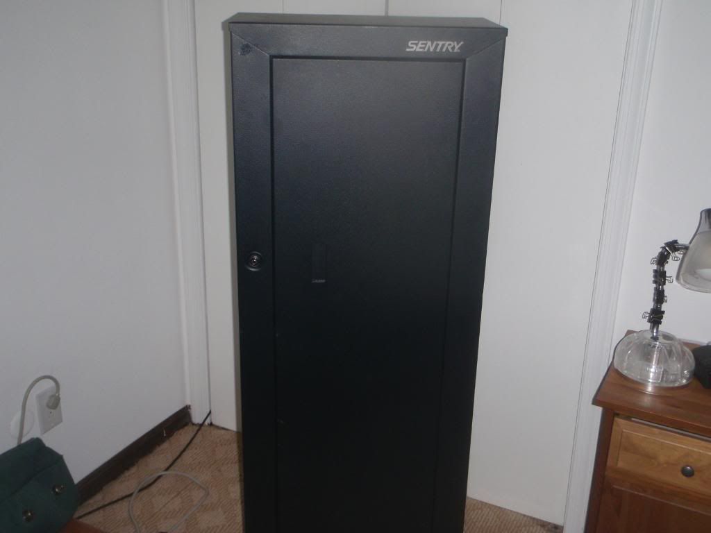 Fs Sentry Gun Safe