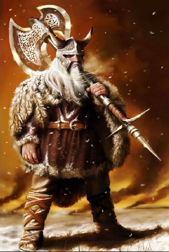 viking_1a.jpg