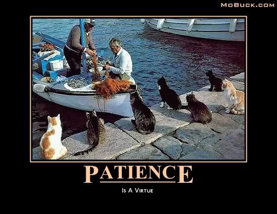 patience.jpg