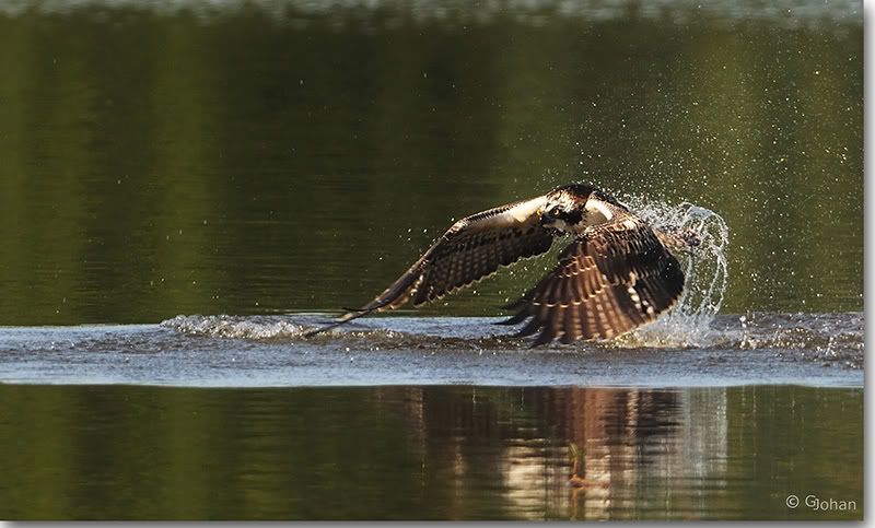 Fotografie