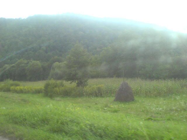 DEZNA