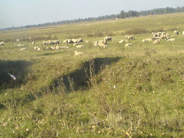 WEST PLAIN