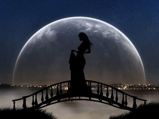 lovers in moonlight Pictures, Images and Photos