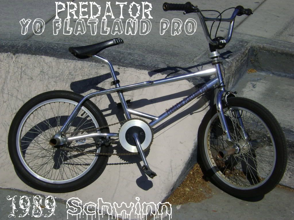 PredatorFlatlandPro.jpg
