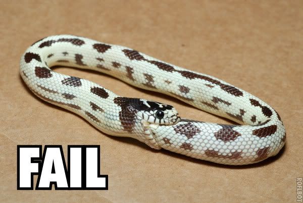 Snake_fail.jpg