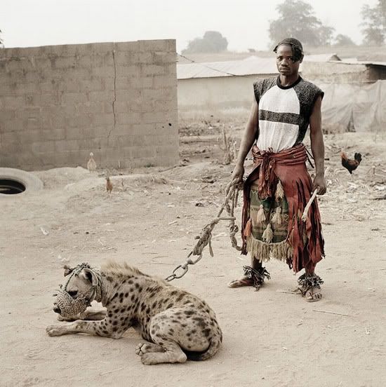 hewanpeliharaanafrikabinatangbua 3 Jadi peliharaan di Afrika, 
ditakuti di sini
