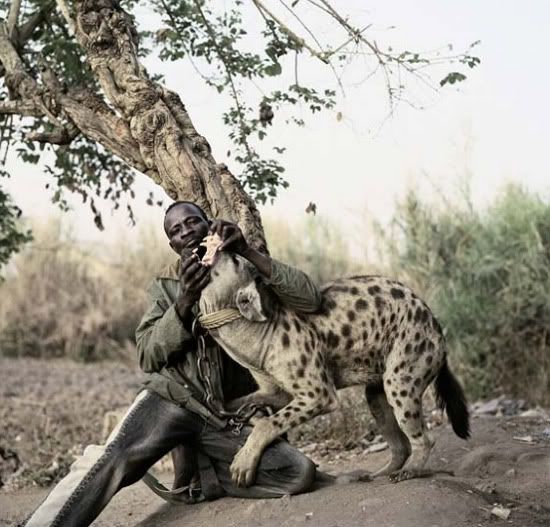 hewanpeliharaanafrikabinatangbua 4 Jadi peliharaan di Afrika, 
ditakuti di sini