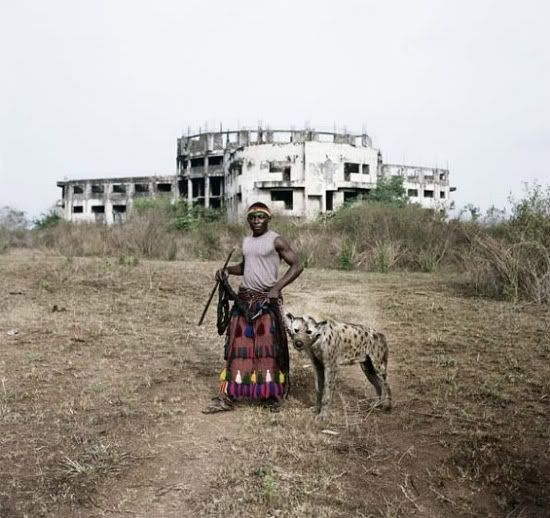 hewanpeliharaanafrikabinatangbua 5 Jadi peliharaan di Afrika, 
ditakuti di sini