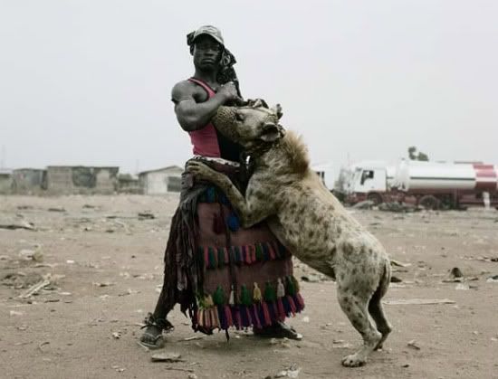 hewanpeliharaanafrikabinatangbuashy Jadi peliharaan di Afrika, 
ditakuti di sini