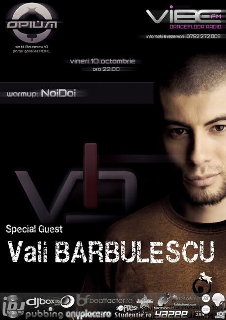 vali barbulescu delineation