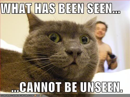 what has been seen photo: what has been seen funny-pictures-scared-cat-naked-guy.jpg