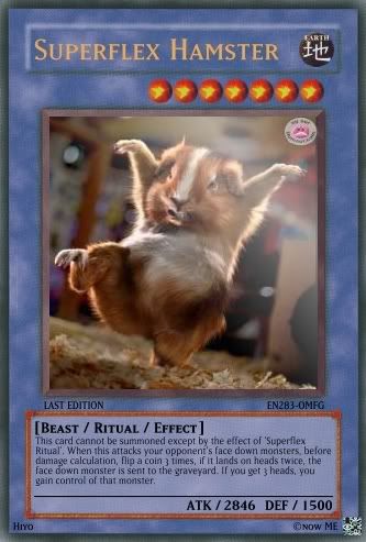 superflexphp.jpg?t=1192648250