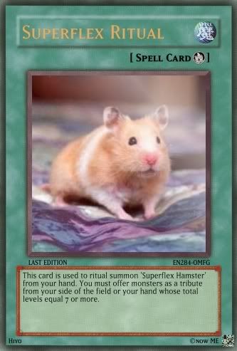 superflexritualphp.jpg?t=1192648001