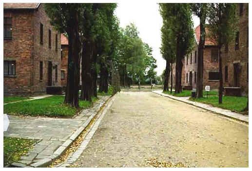 auschw photo ausch_zps61389ebe.jpg