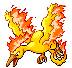 Moltres Moving Icon Pictures, Images and Photos