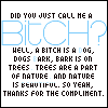 th_Bitchisacomment-.gif