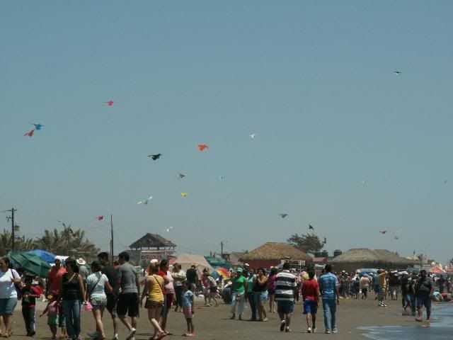 A sea of kites in the sky and people on the ground.
