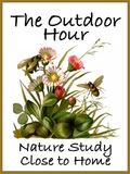 The Handbook for Nature Study Blog