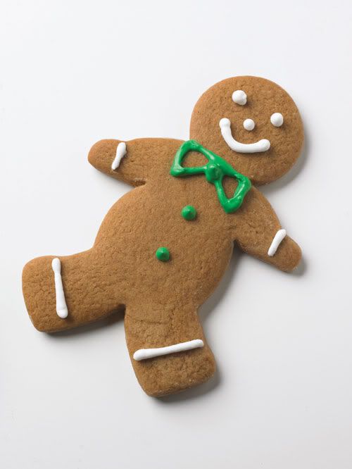 Thank you, Spices Today, for the perfect Gingerbread man!