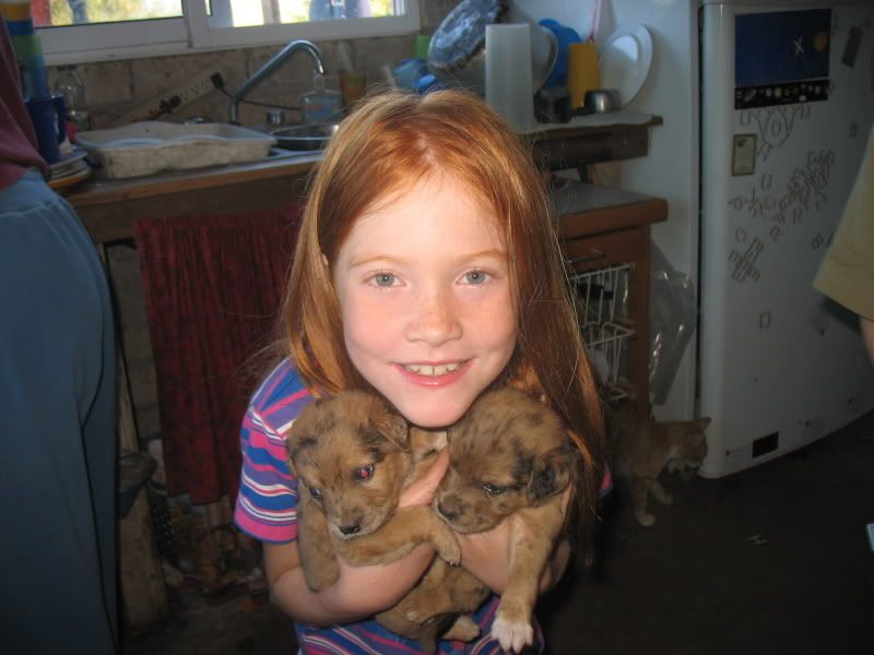 Evie and our Puppies