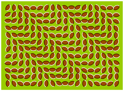 optica4.gif