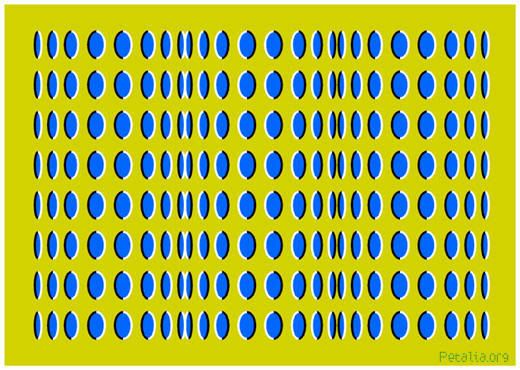 optica5.jpg