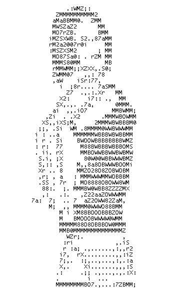 unnamed1tz.gif