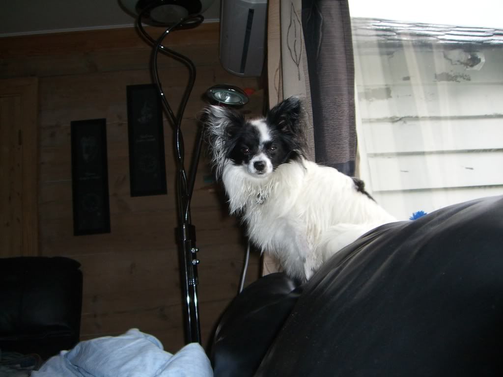 Bilde05-092007050.jpg?t=1201265935