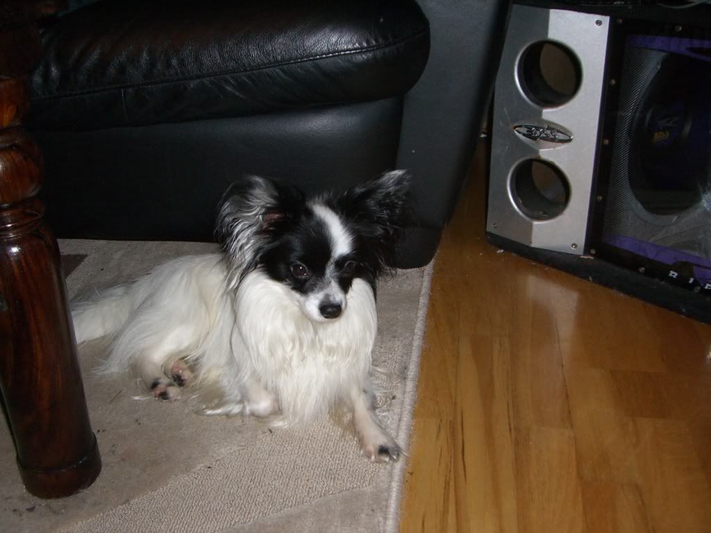 Bilde104.jpg?t=1201265978