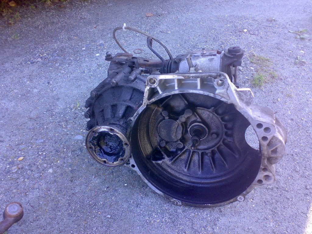 bilde003.jpg?t=1272981794