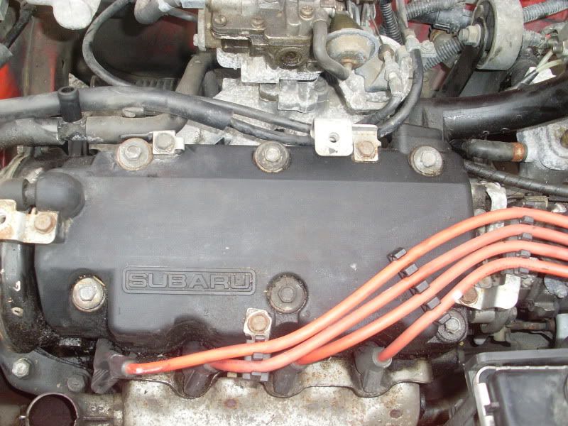 SL370887.jpg