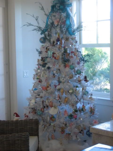 beachtree.jpg