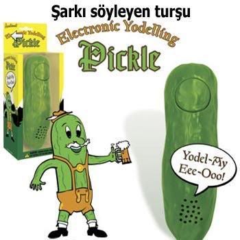 7kiw5.jpg