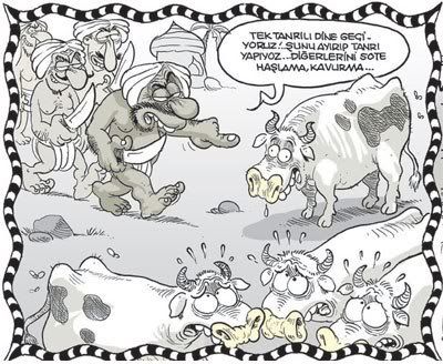 ana255a1ub1.jpg