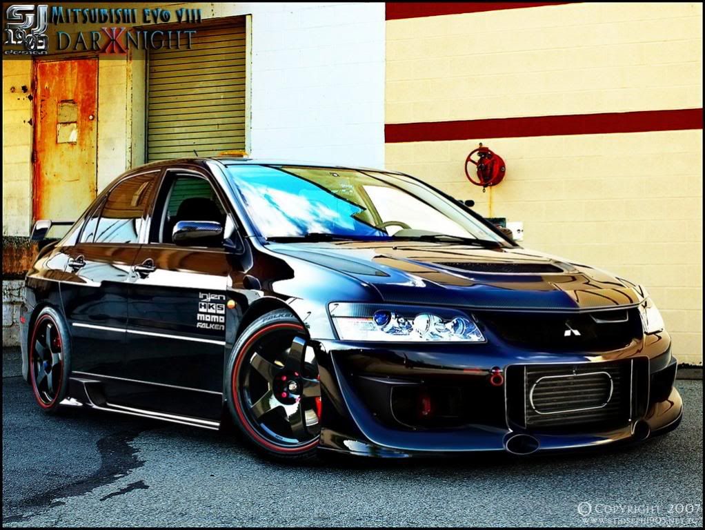evo4ms6.jpg
