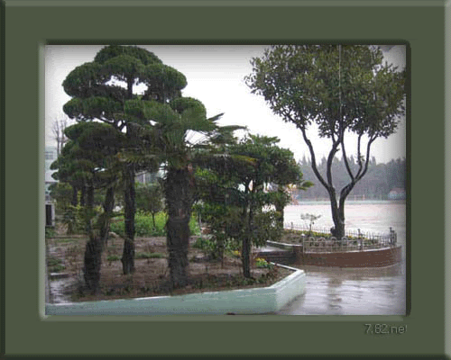 lkip20aqte4.gif