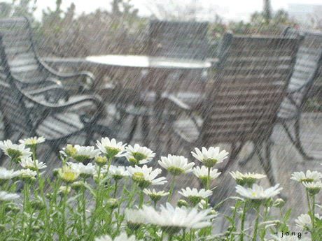 rainky2.gif