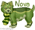 Nova.gif