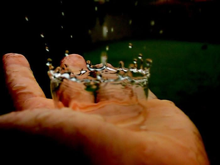 water dropping into hand Pictures, Images and Photos